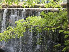 -汤旺河林海奇石景区