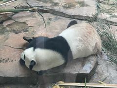 -二一九公园