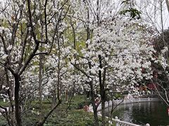 -绵阳人民公园(涪城区)
