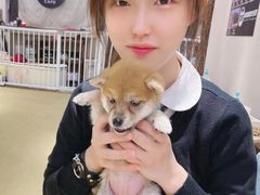 -逗柴咖啡屋·狗咖猫咖宠物桌游