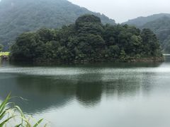 -广州市石门国家森林公园