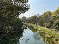 -韩湘水博园