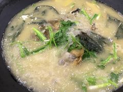 -岩泊渡桂鱼楼活鱼馆