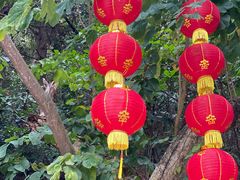 -深圳仙湖植物园