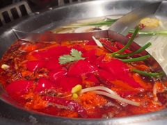 -辣伍鲜毛肚老火锅(元一店)