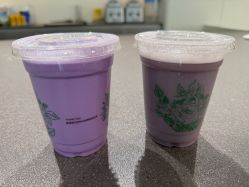 -安利上海体验馆