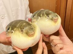 -永安鱼庄·镇江菜(东吴路店)