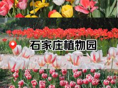 -石家庄市植物园