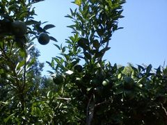 -白塘生态植物园