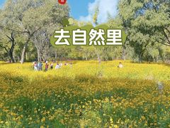 -朝阳公园