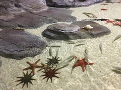 -福州罗源湾海洋世界旅游区