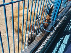 -鄂尔多斯野生动物园