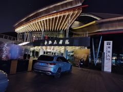 -合肥大剧院