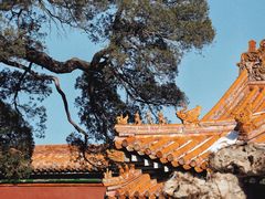 -故宫博物院(故宫)