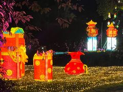 -广西壮族自治区药用植物园