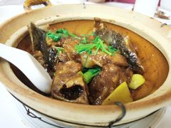 红烧鱼头煲-惠爱餐厅