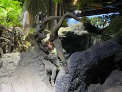 -江和美海洋公园