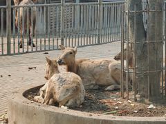 -无锡动物园·太湖欢乐园