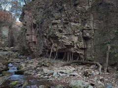 -五女峰国家森林公园