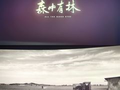 -博纳国际影城(皇庭店)