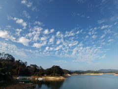 -广州市流溪河国家森林公园
