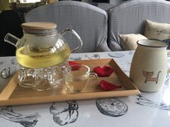 -吉丁鸟咖·异宠·寄养