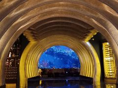 -迪拜帆船酒店海底餐厅