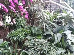 -北京植物园-展览温室