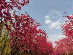 -洛龙公园
