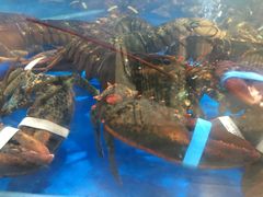 -盒马鲜生(悦峰店)