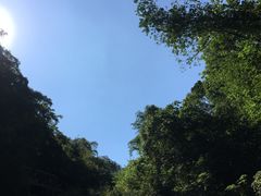 -龙道沟景区