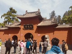 -神州牡丹园
