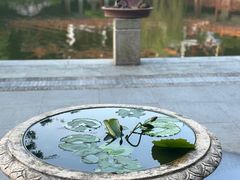 -深圳仙湖植物园