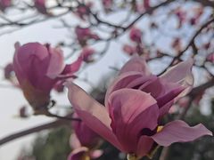 -海淀区图书馆·北馆