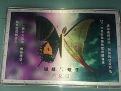 -上海昆虫博物馆