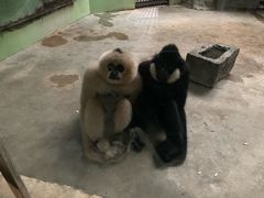 -石家庄市动物园