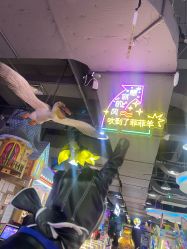 -菲菲羊乐园(临平银泰城店)