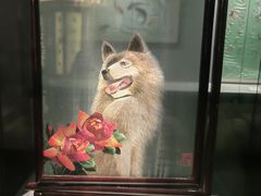 -四川博物院