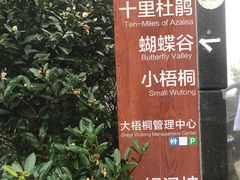 -梧桐山风景名胜区