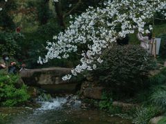 -中国茶叶博物馆(双峰馆区)