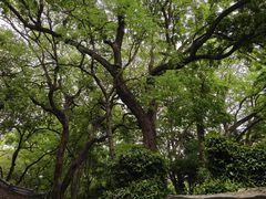 -绮园景区