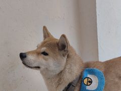 -三目仓咖啡(贤南路店)