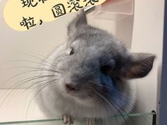 -龙猫仔乐园(惠福东路店)