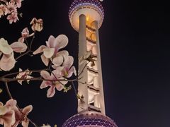 -东方明珠广播电视塔