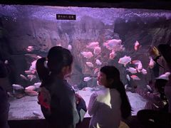 -蓬莱欧乐堡海洋极地世界