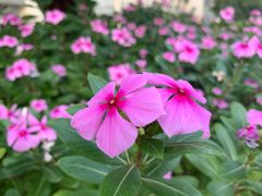 -曹丞相·地锅鸡·地锅鱼(武林店)