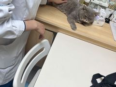 -谐和贝康宠物医院24小时·宠保定点(急重症转诊中心)