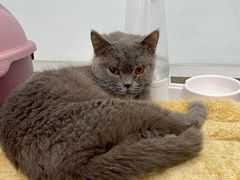 -1013 PET SHOP 宠物商店(近铁城市广场店)