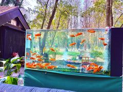 -HERRE·FARM 赫尔露营农场·团建聚会包场