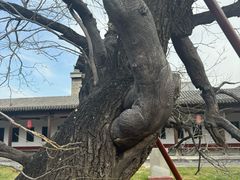 -代州文庙
